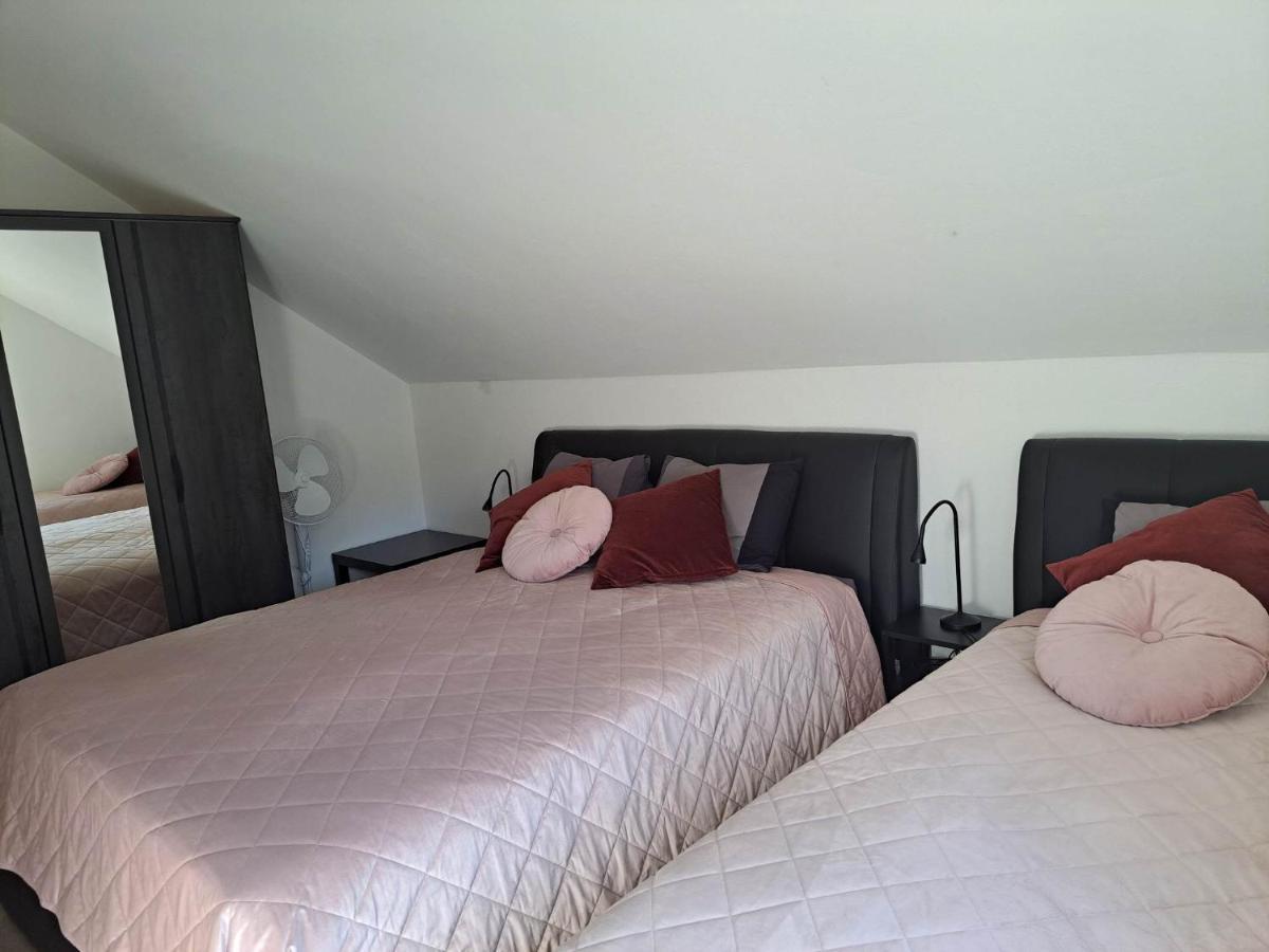 Rovte Apartmaji Tisa In Zana מראה חיצוני תמונה