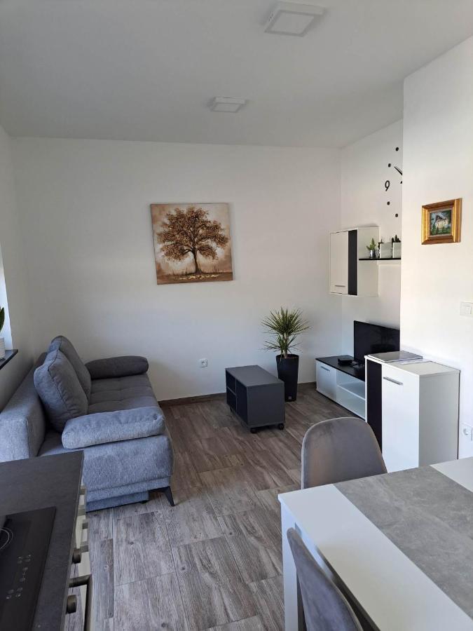 Rovte Apartmaji Tisa In Zana מראה חיצוני תמונה